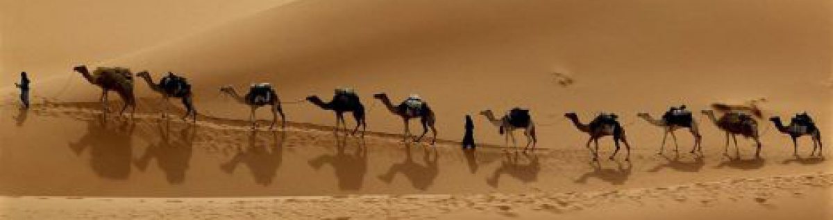 Tangora Family Website